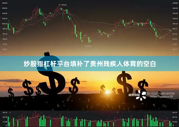 炒股指杠杆平台填补了贵州残疾人体育的空白