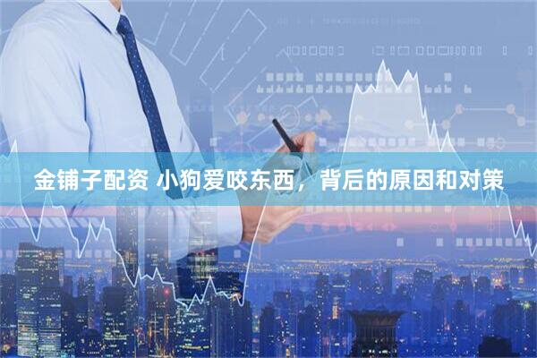 金铺子配资 小狗爱咬东西，背后的原因和对策