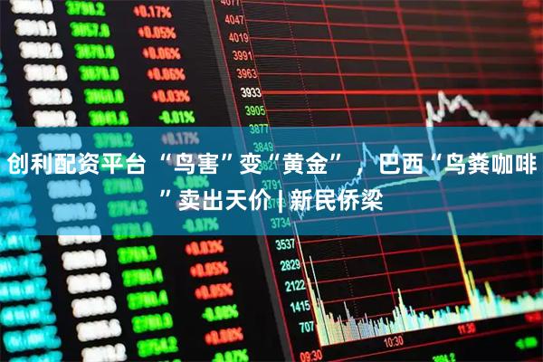 创利配资平台 “鸟害”变“黄金” ，巴西“鸟粪咖啡”卖出天价 | 新民侨梁