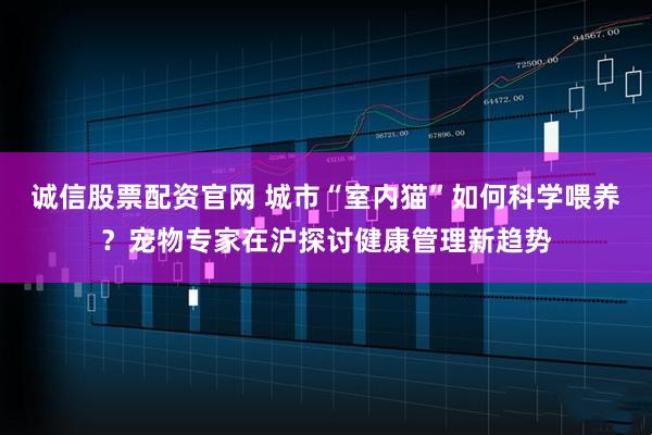 诚信股票配资官网 城市“室内猫”如何科学喂养？宠物专家在沪探讨健康管理新趋势